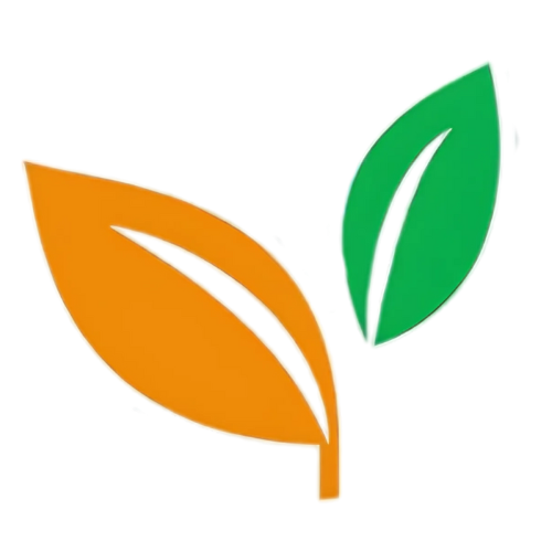 Feuilles stylisées orange et verte superposées sur fond transparent.